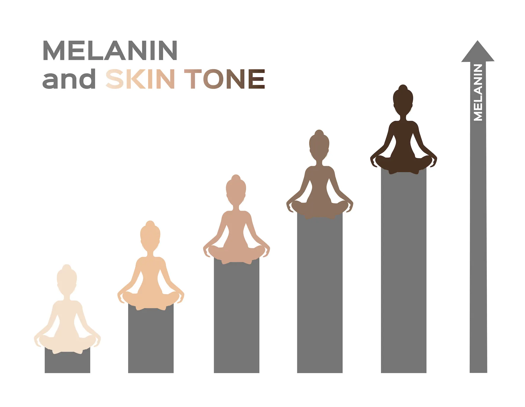 Was ist Melanin? was ist Melanin
