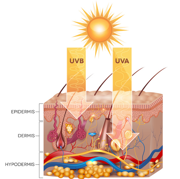 UV-Strahlung – Welche Wirkung hat sie auf meine Haut? UV-Strahlung - Lichtschutzfaktor (LSF) Sonnenschutz mit Sonnencreme vor Sonnenbrand